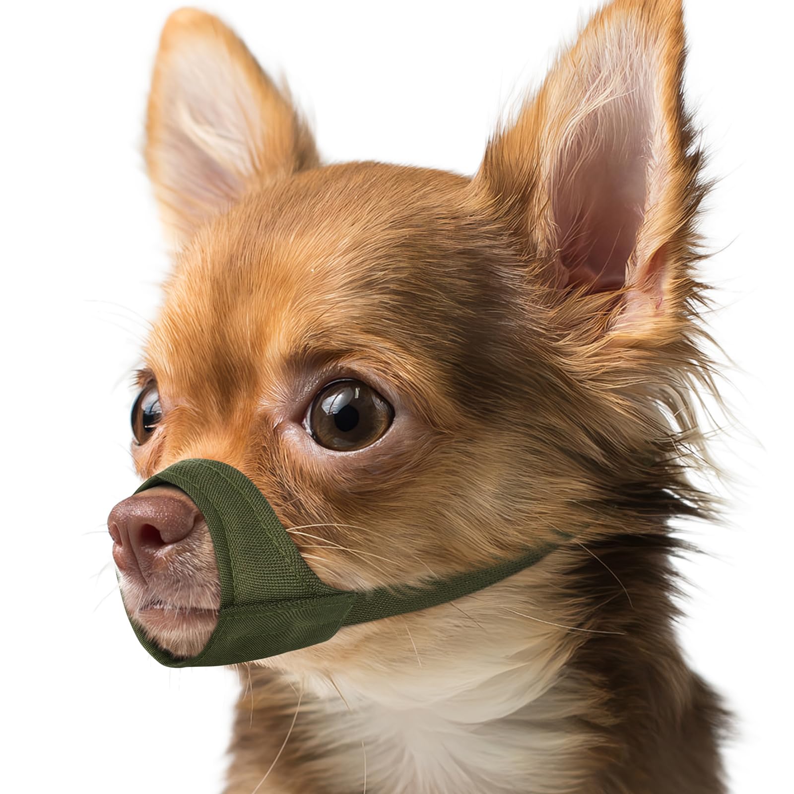 Mayerzon Muzzle con ajuste XXSmall cómodo para chihuahuas durante paseos.