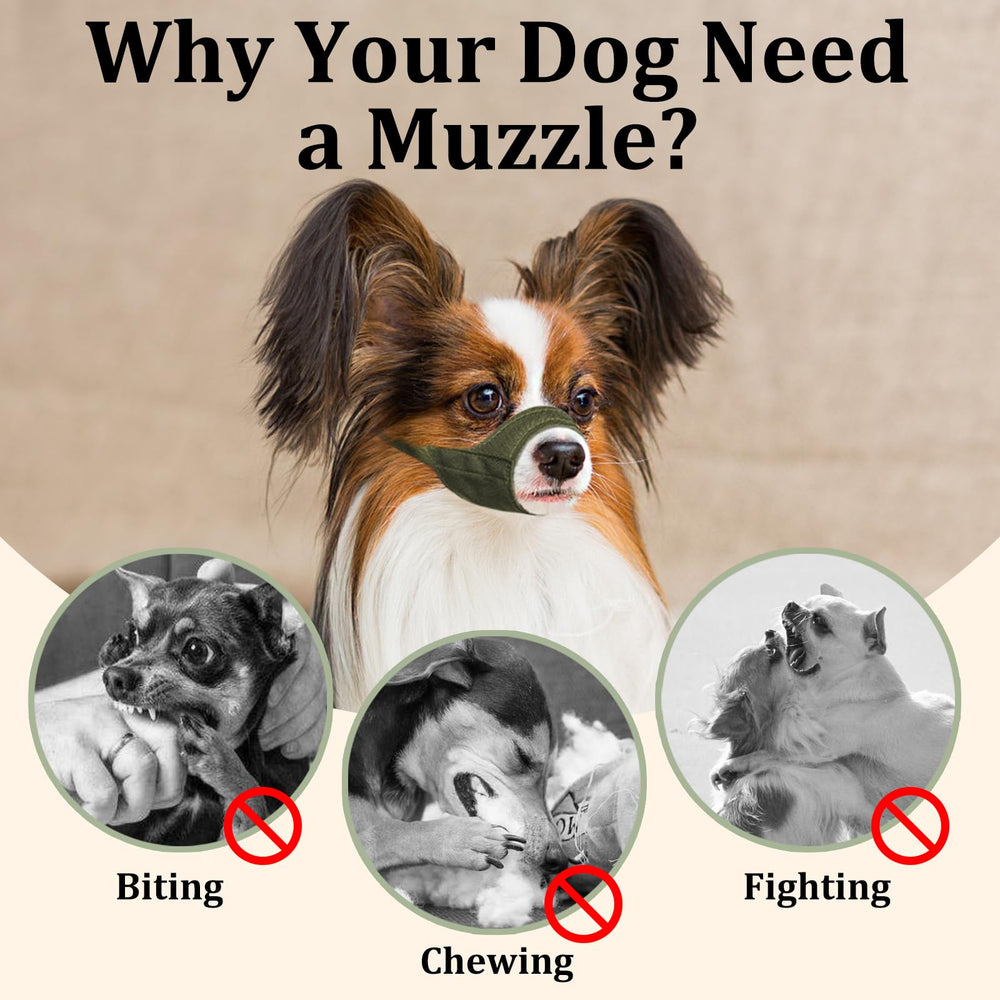 Mayerzon Muzzle: facilidad de limpieza gracias a material interior impermeable.