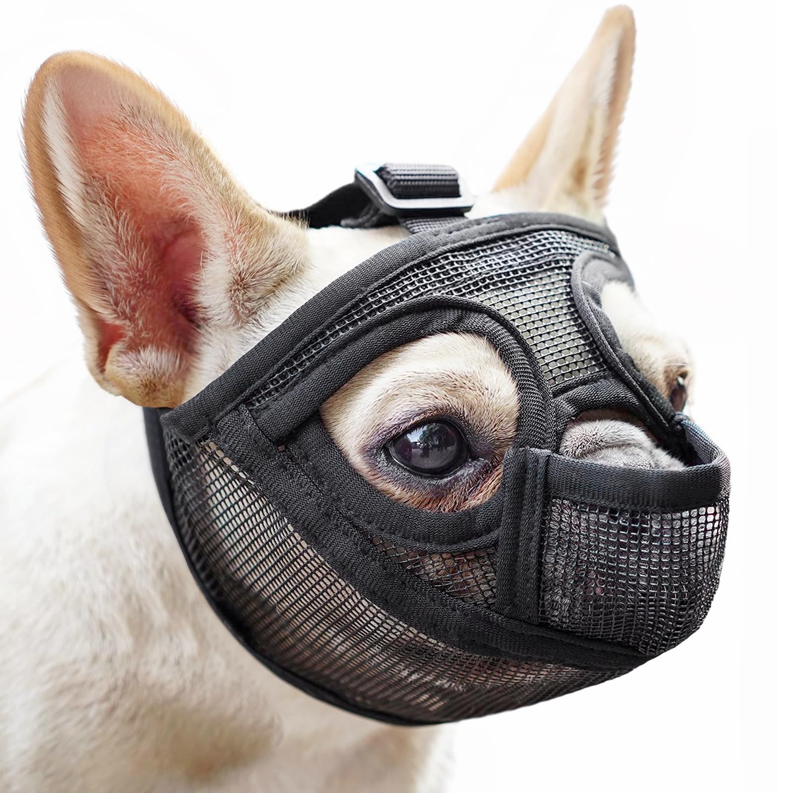 Mayerzon Muzzle con hocico corto para Frances Bulldog, diseño pant completo para evitar ingesta