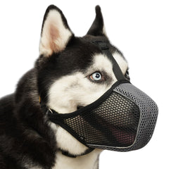 Mayerzon bozal de malla aireada para perro, facilita respiración durante paseos
