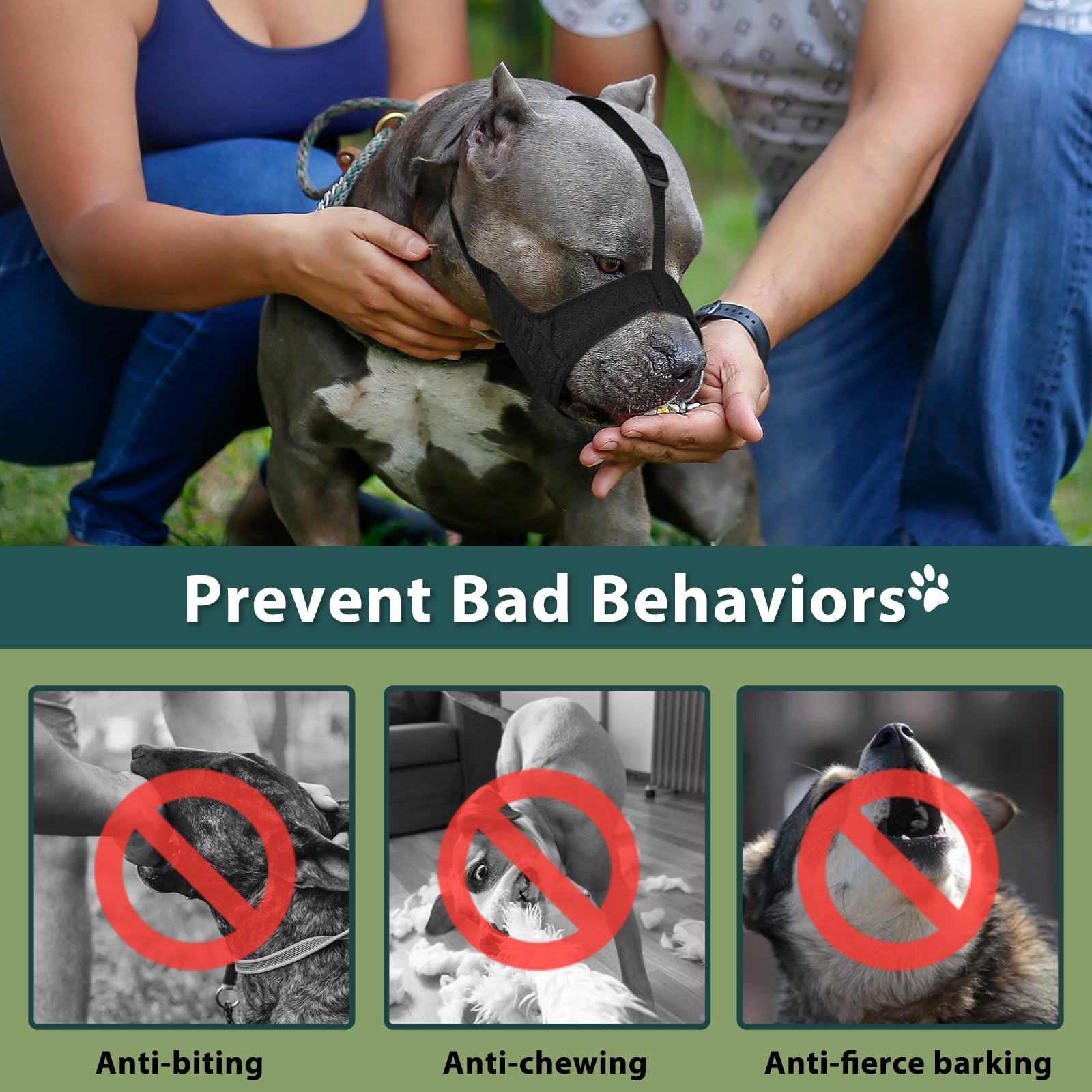 Uso al aire libre con Mayerzon Pitbull Muzzle para paseos y entrenamiento.