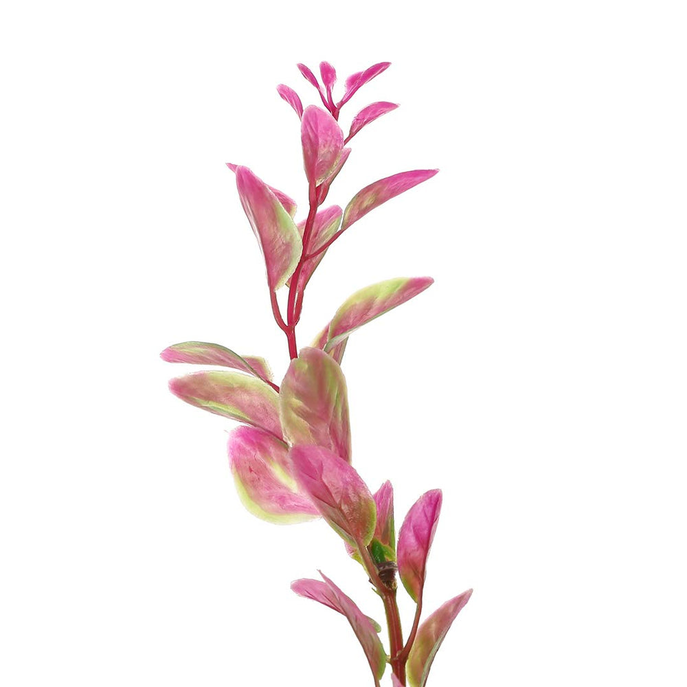 Mayitr arbusto para acuario en plástico Rhodo Rojo
