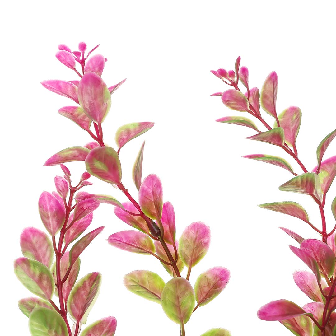 Mayitr diseño de acuario plástico con acento Rhodo Rojo para ambiente agradable