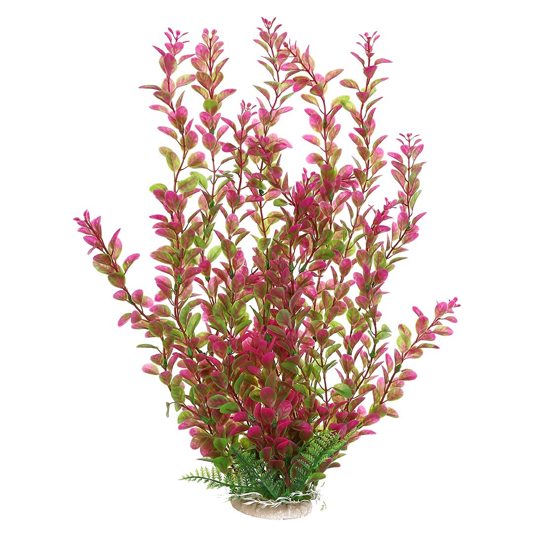 Mayitr planta de acuario de plástico con ramas en Rhodo Rojo para refugio natural