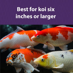 Mazuri Koi Platinum Nuggets con omega-3 y vitamina C para koi.