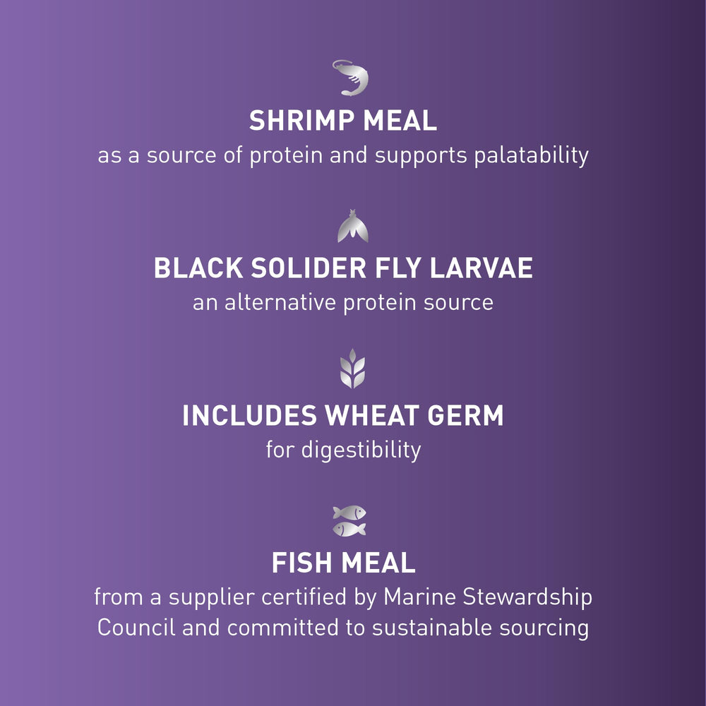 Mazuri Koi Premium Food, larvas mosca soldado negra, fuente de proteína sostenible.