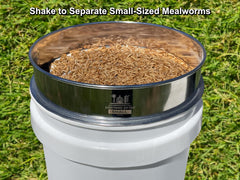 Mealworm Farming Solutions D-11 Sifter, acero inoxidable resistente y durable