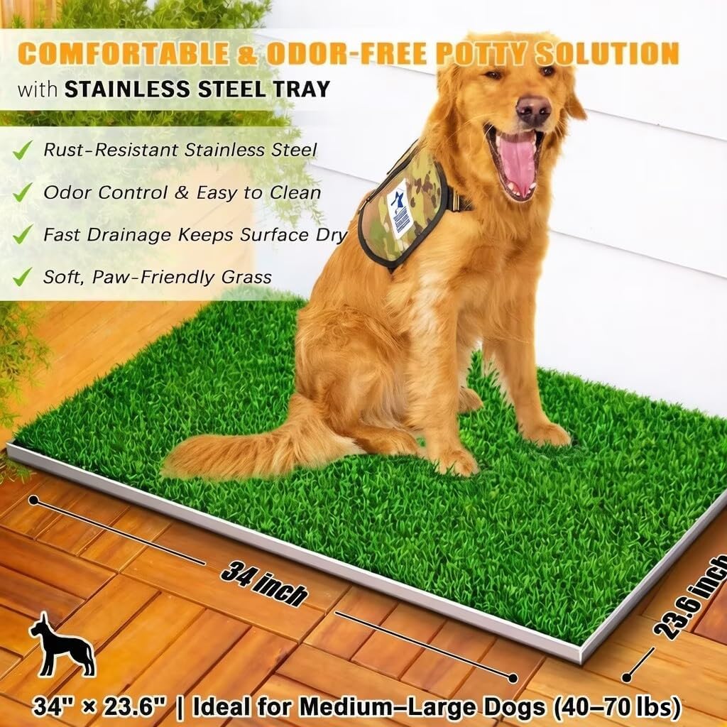 Meegood facilita el entrenamiento de higiene de perros sin complicaciones.
