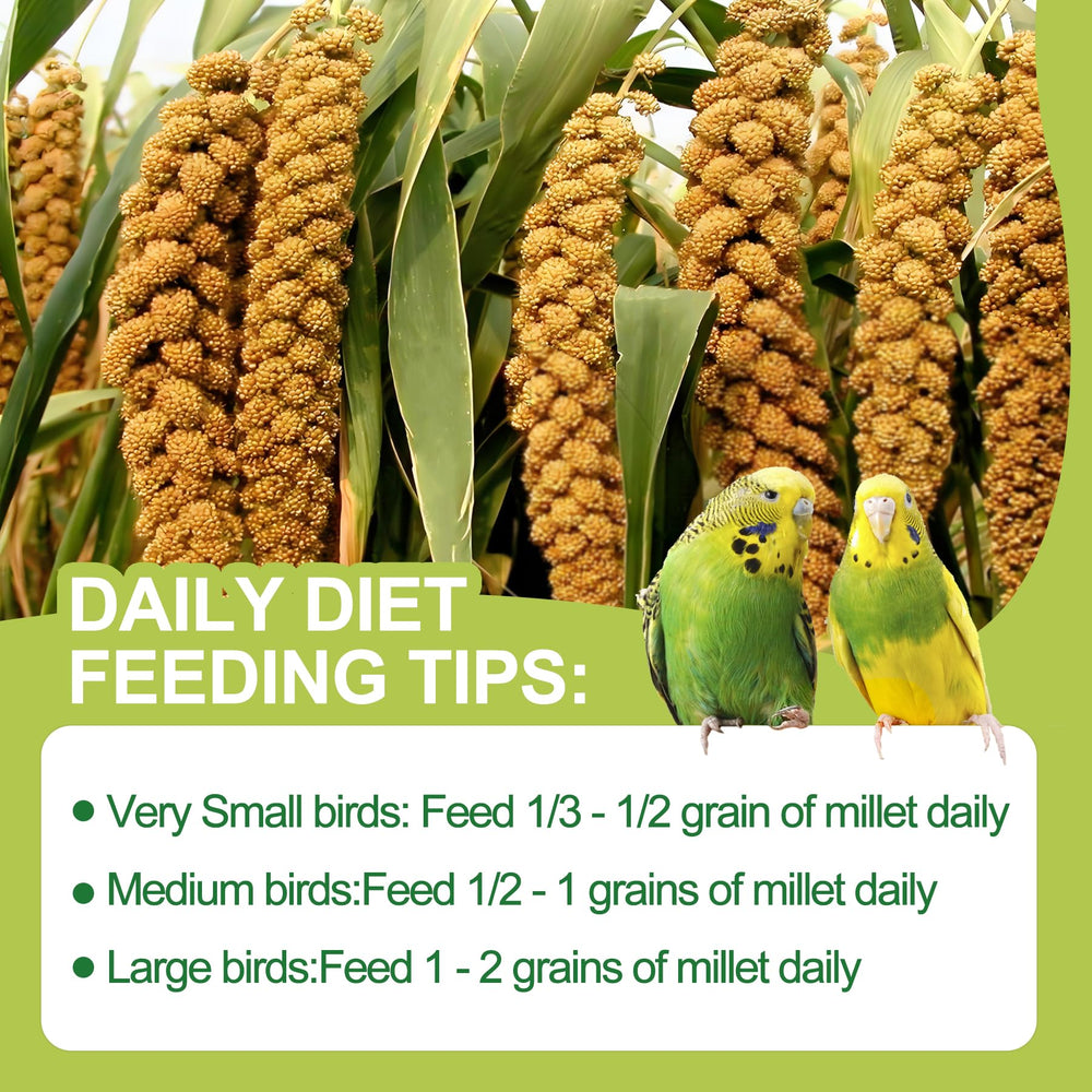 MEILLEURE mijo para aves diversas: apto para múltiples especies