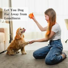Mejawump diseño interactivo para entrenamiento y juego en perros pequeños y medianos.