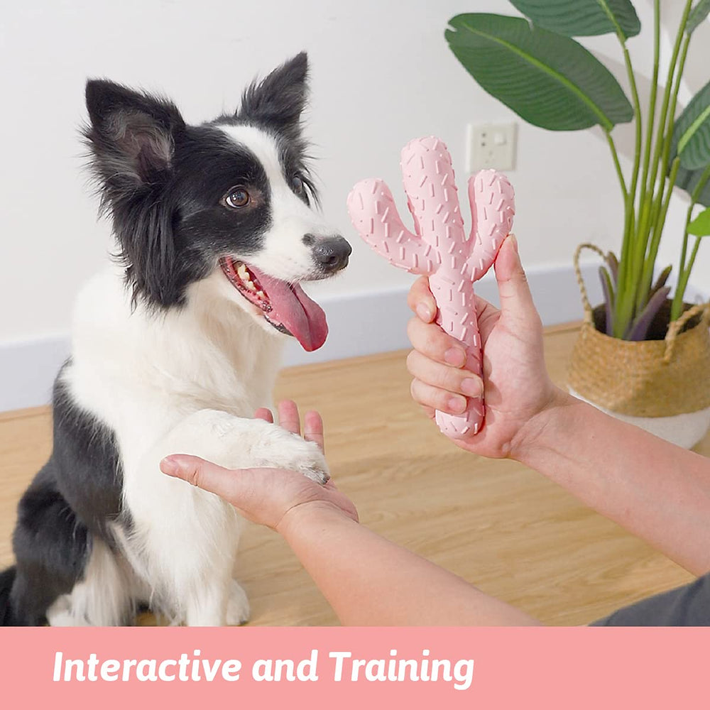 Mejawump jouet cactus rose pour chiens de taille moyenne, idéal pour entraînement.