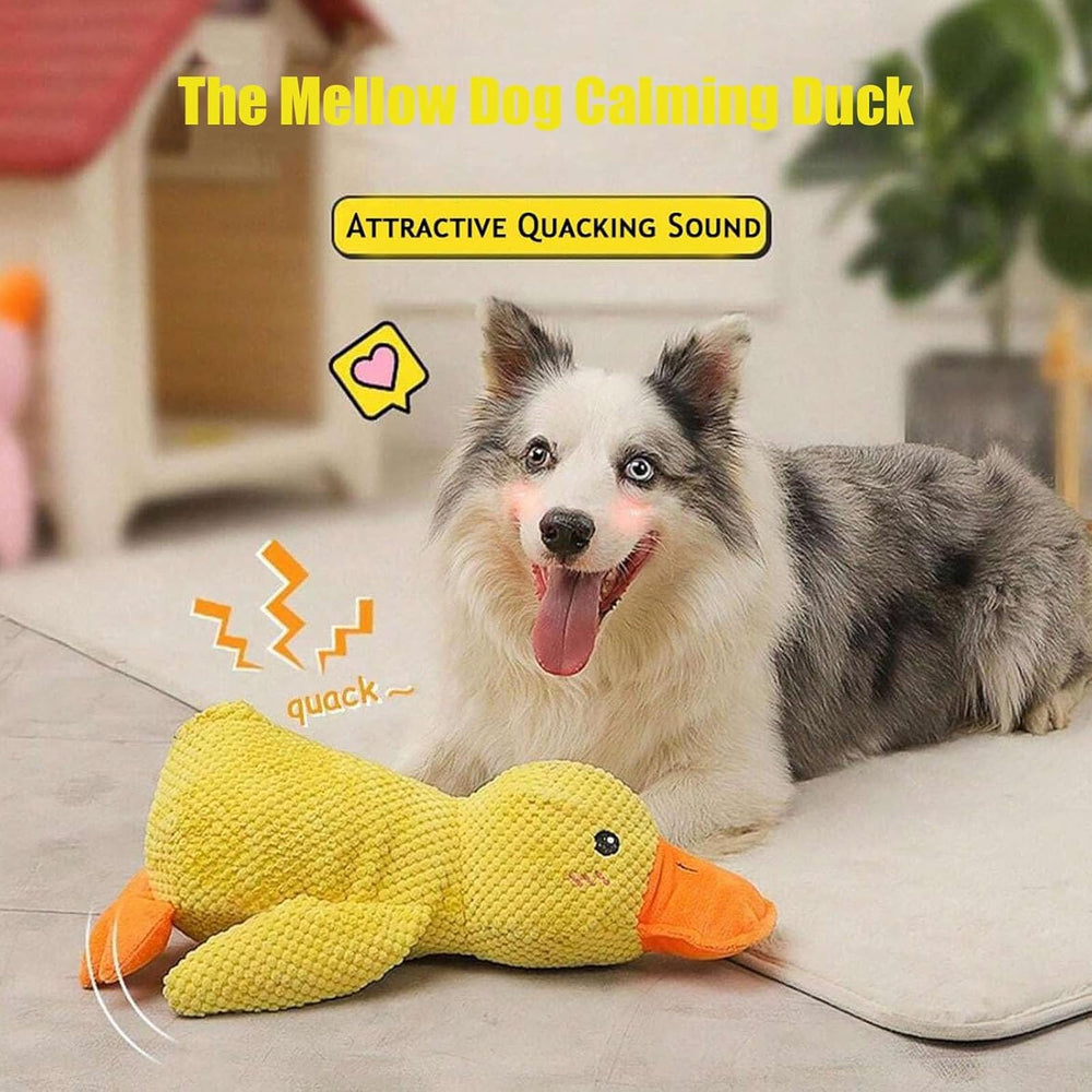 Pato Mellow Dog amarillo favorece masticación y salud dental.