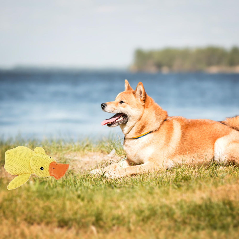 Pato Mellow Dog amarillo resistente para perros activos.