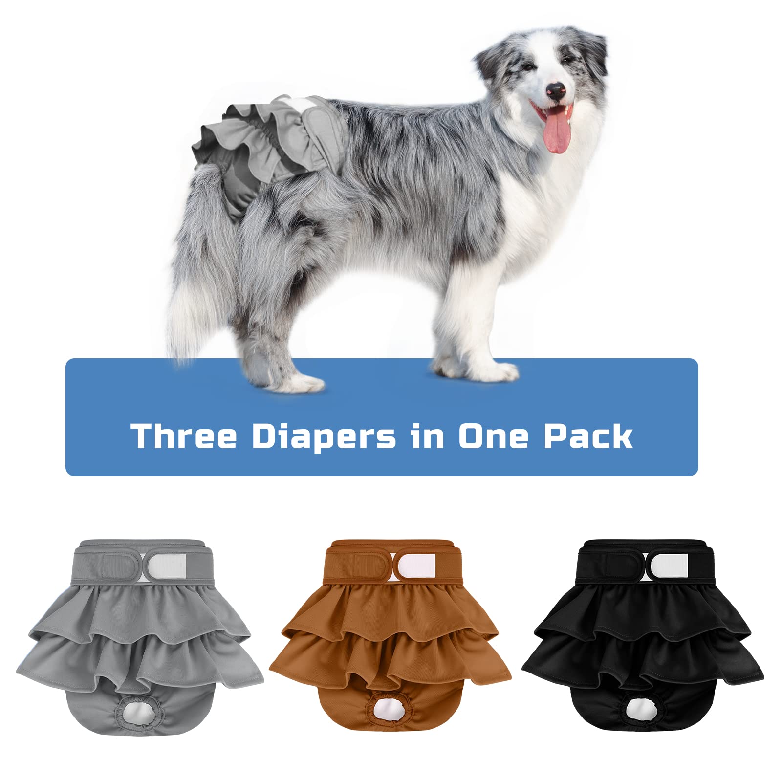 Ideal para celo e entrenamiento, con tallas disponibles para cada perro.