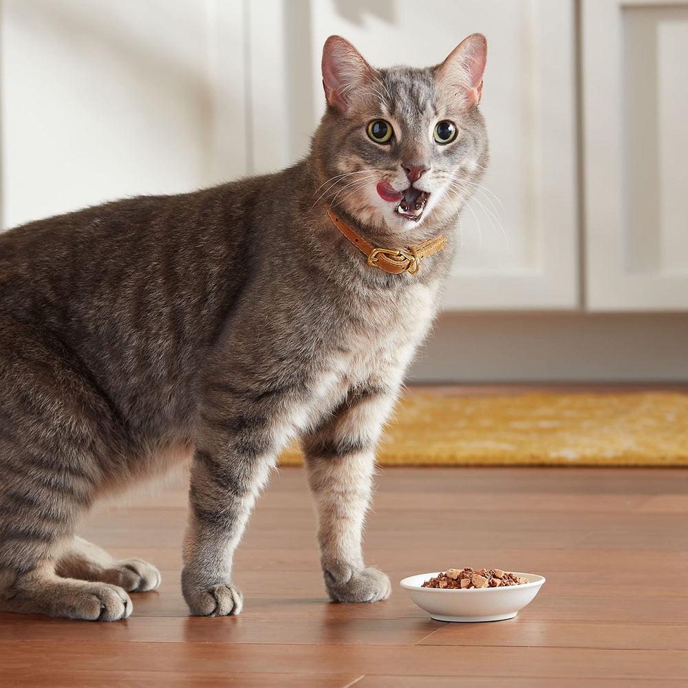 Meow Mix cup de 2,75 oz, porciones prácticas