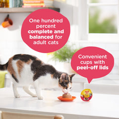 Empaque de doce porciones Meow Mix Paté en Gravy para comidas planificadas