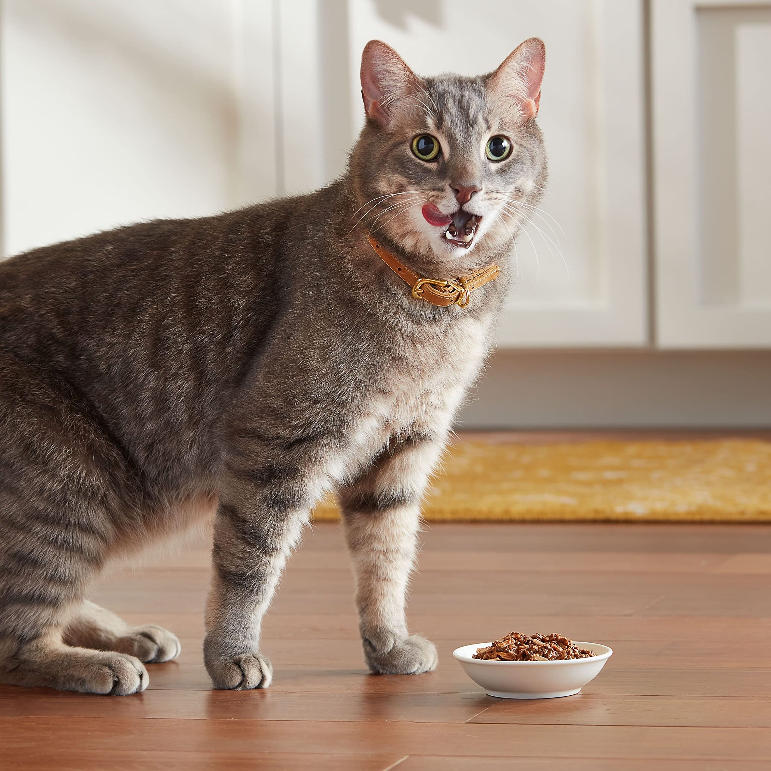 Meow Mix Tenders en Salsa, taza con pollo y hígado, fuente de proteína para salud de tu gato