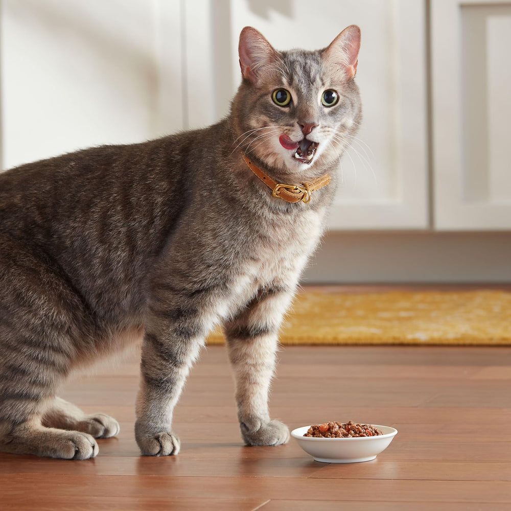 Meow Mix Tenders en Salsa, ingredientes reales de atún y camarones para variedad.