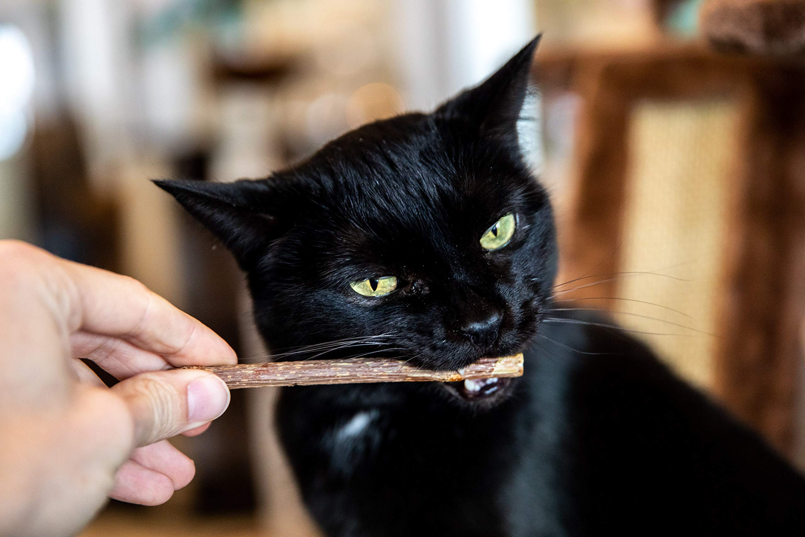 Meowy Janes palito matatabi masticable, alternativa natural para juego y masticación saludable.