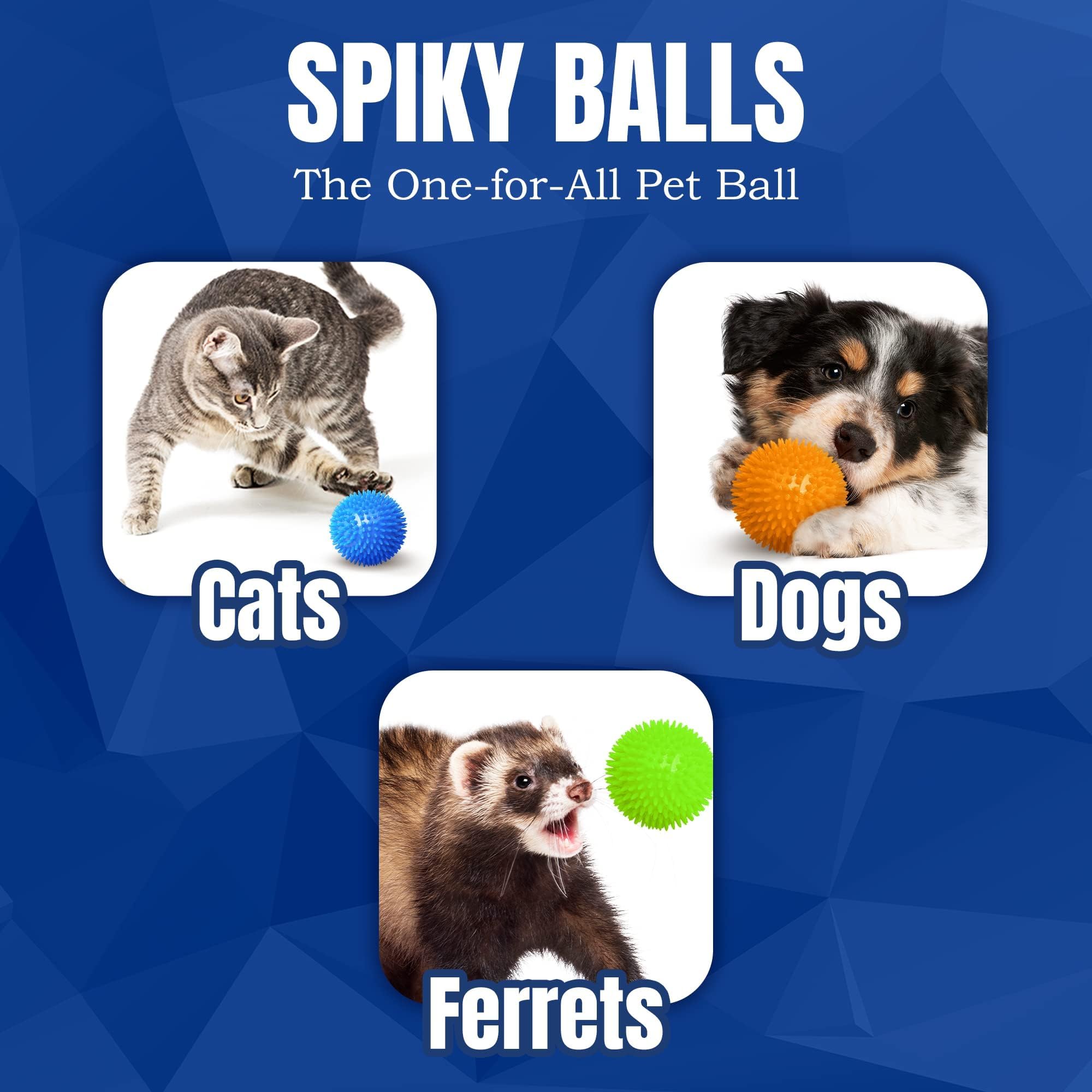 Juego de tirar Meric CoCoo para perro, mejora la actividad física y el vínculo humano‑animal.