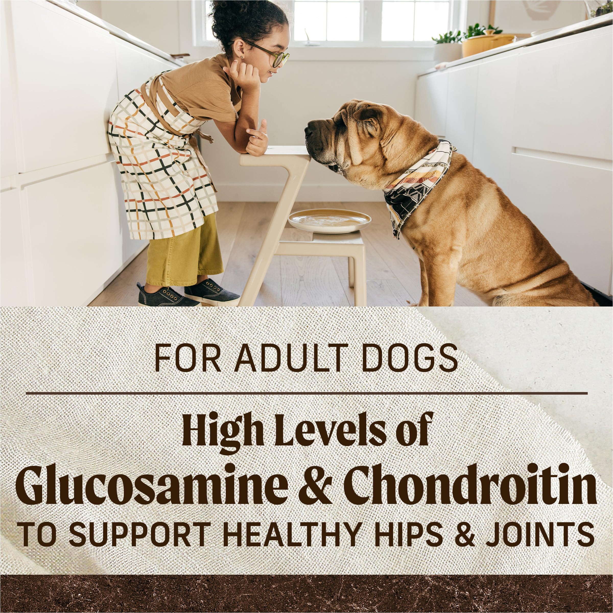 Alimento Merrick para perros adultos activos y fuertes