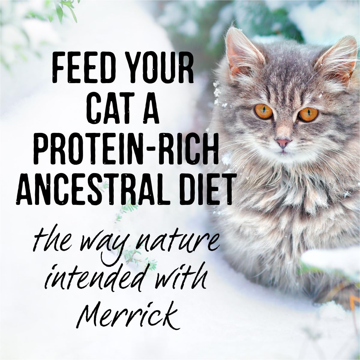 Merrick Backcountry, fibra prebiótica para apoyo digestivo en gatos