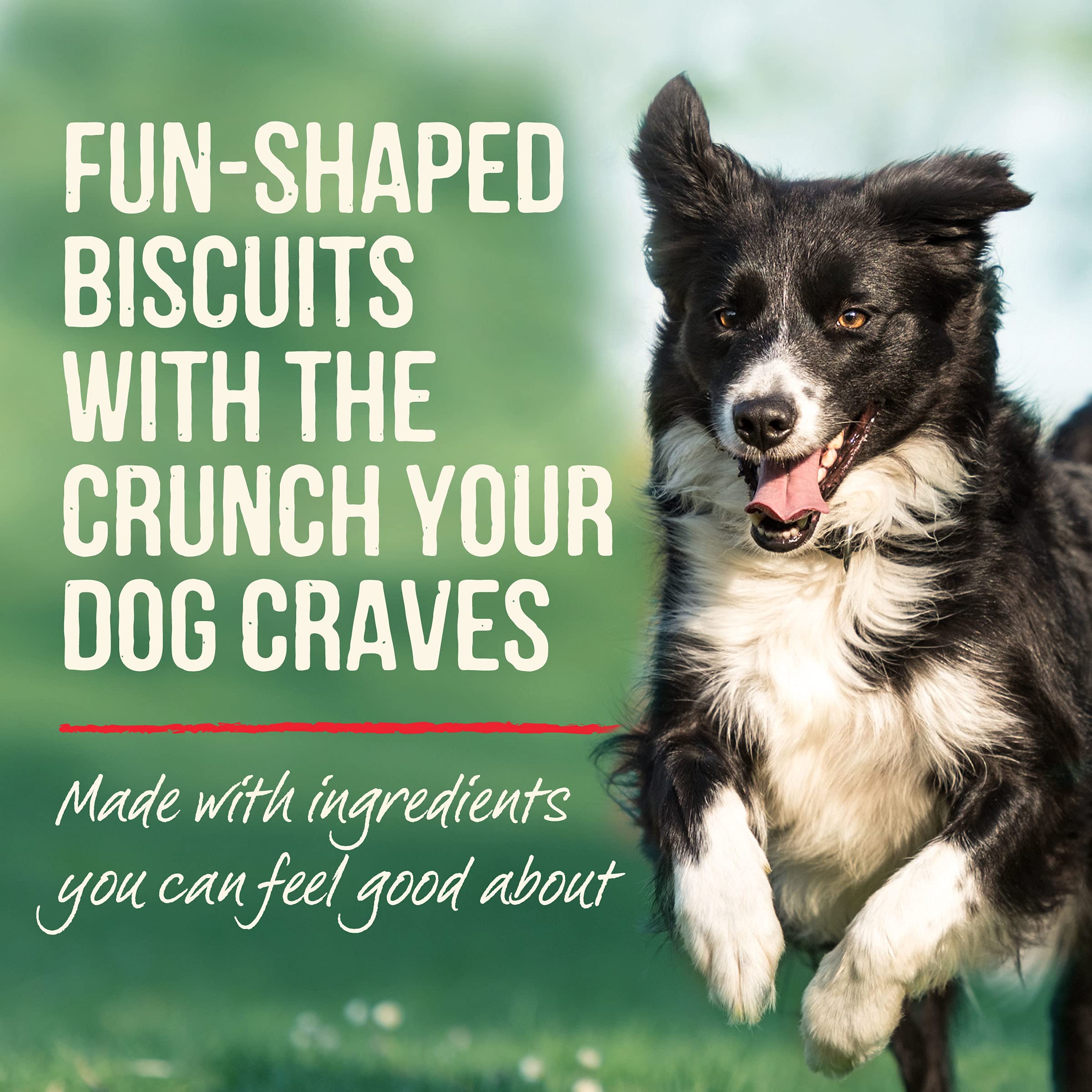 Galletas Merrick para perros sin maiz soja trigo, sabor calabaza real.