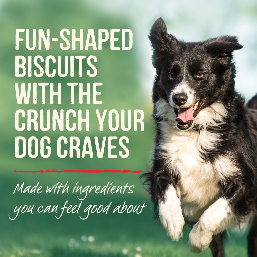 Galletas Merrick para perros sin maiz soja trigo, sabor calabaza real.
