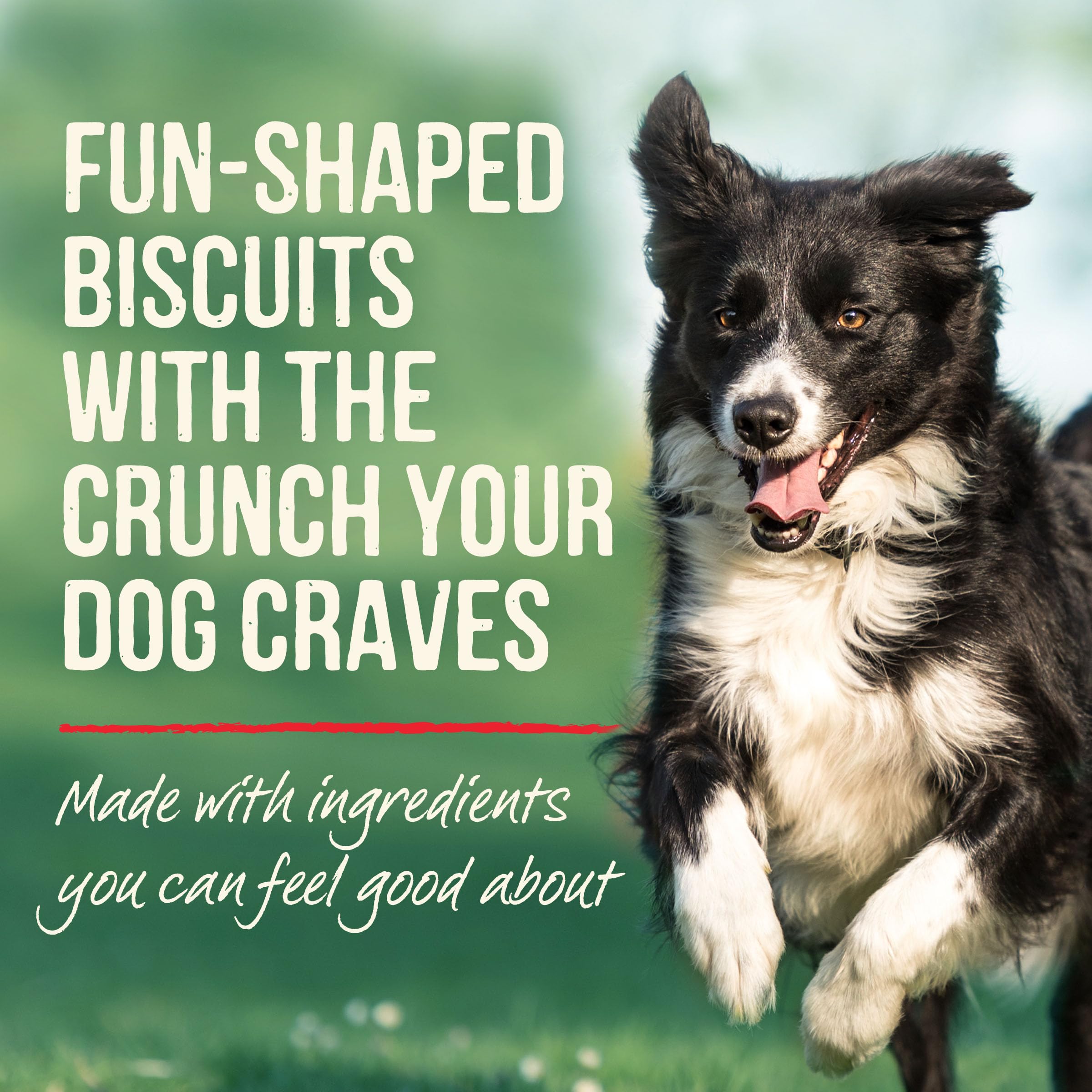 Merrick galletas hechas en USA, calidad garantizada para perros