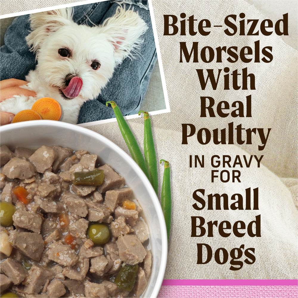 Merrick Lil’ Plates: perro pequeño comiendo, textura suave que facilita la alimentación diaria.
