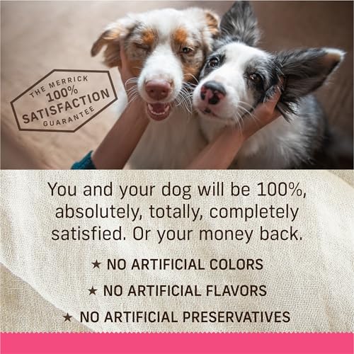 Merrick Lil’ Plates para perros pequeños: porciones convenientes para la alimentación diaria.