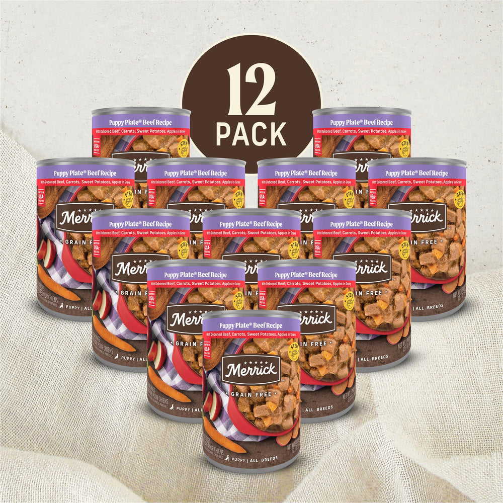 Merrick Puppy Plate batatas dulces, sabor suave y energía para cachorros.