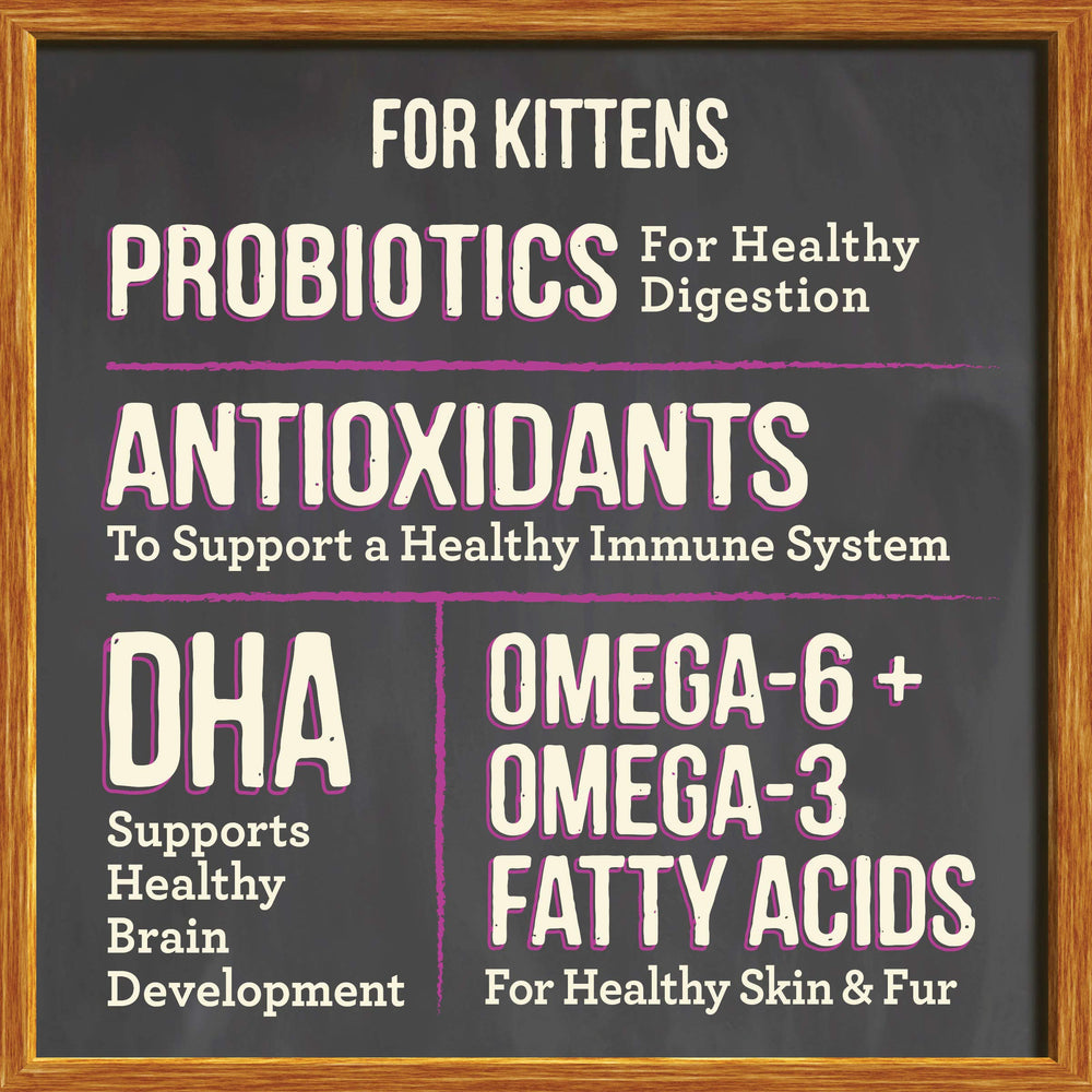 Merrick Purrfect Bistro: antioxidantes para un sistema inmunológico equilibrado.