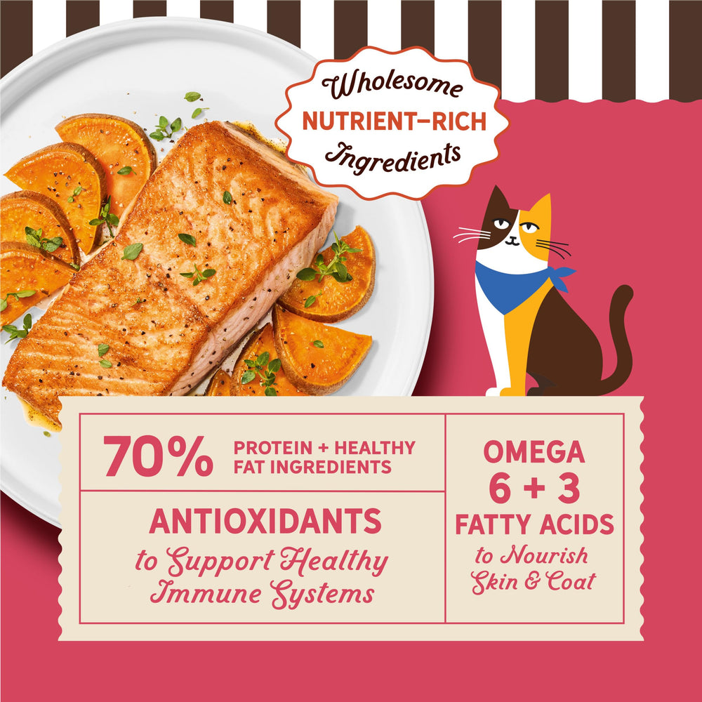 Merrick Purrfect Bistro con salmón como primer ingrediente, proteína de calidad.