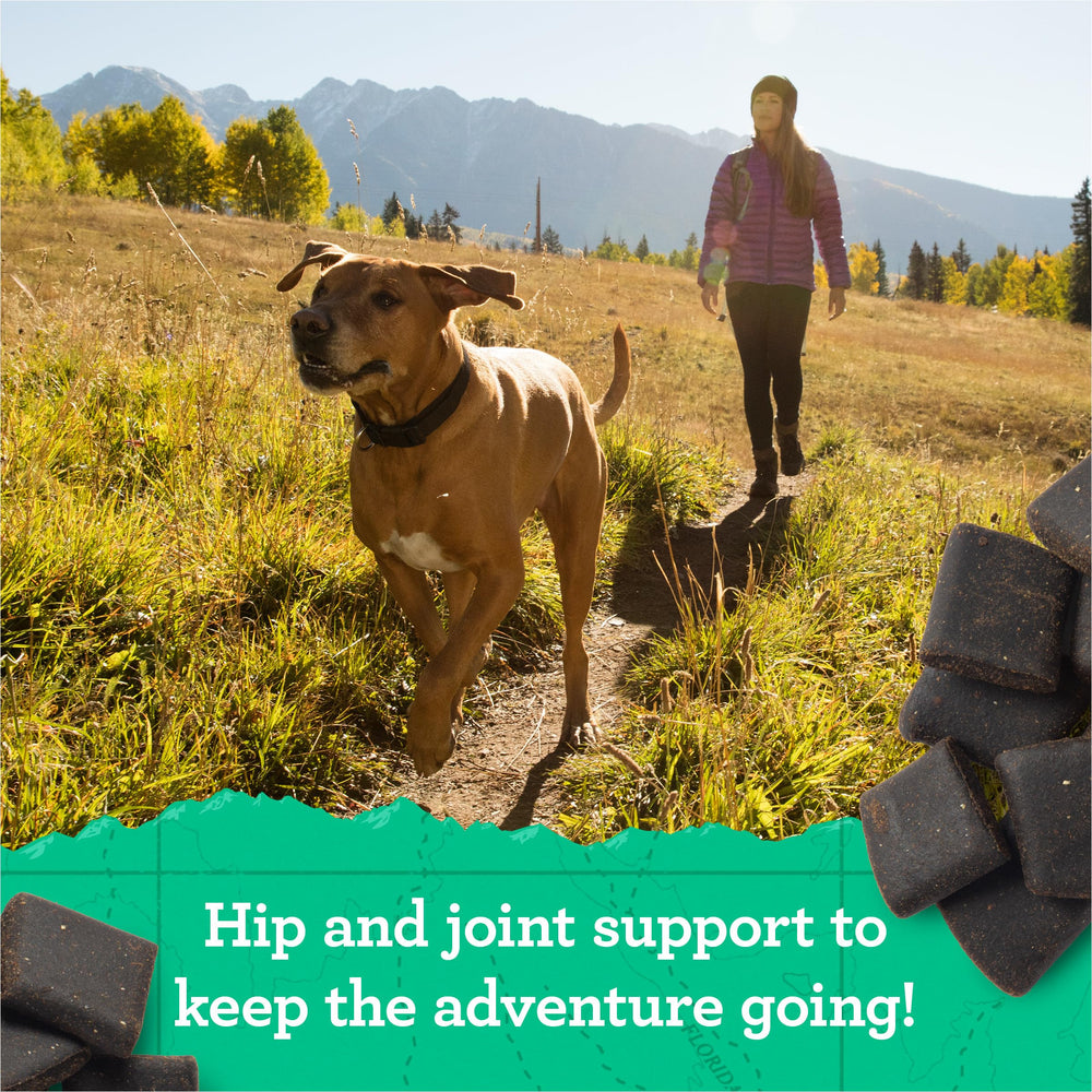 Merrick Zuke’s Hip y Joint, ingredientes naturales para perros sanos y felices