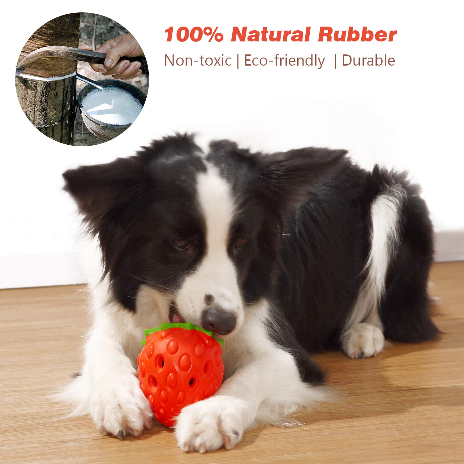 Bola interactiva de MewaJump para perros, ideal para juego y ejercicio.