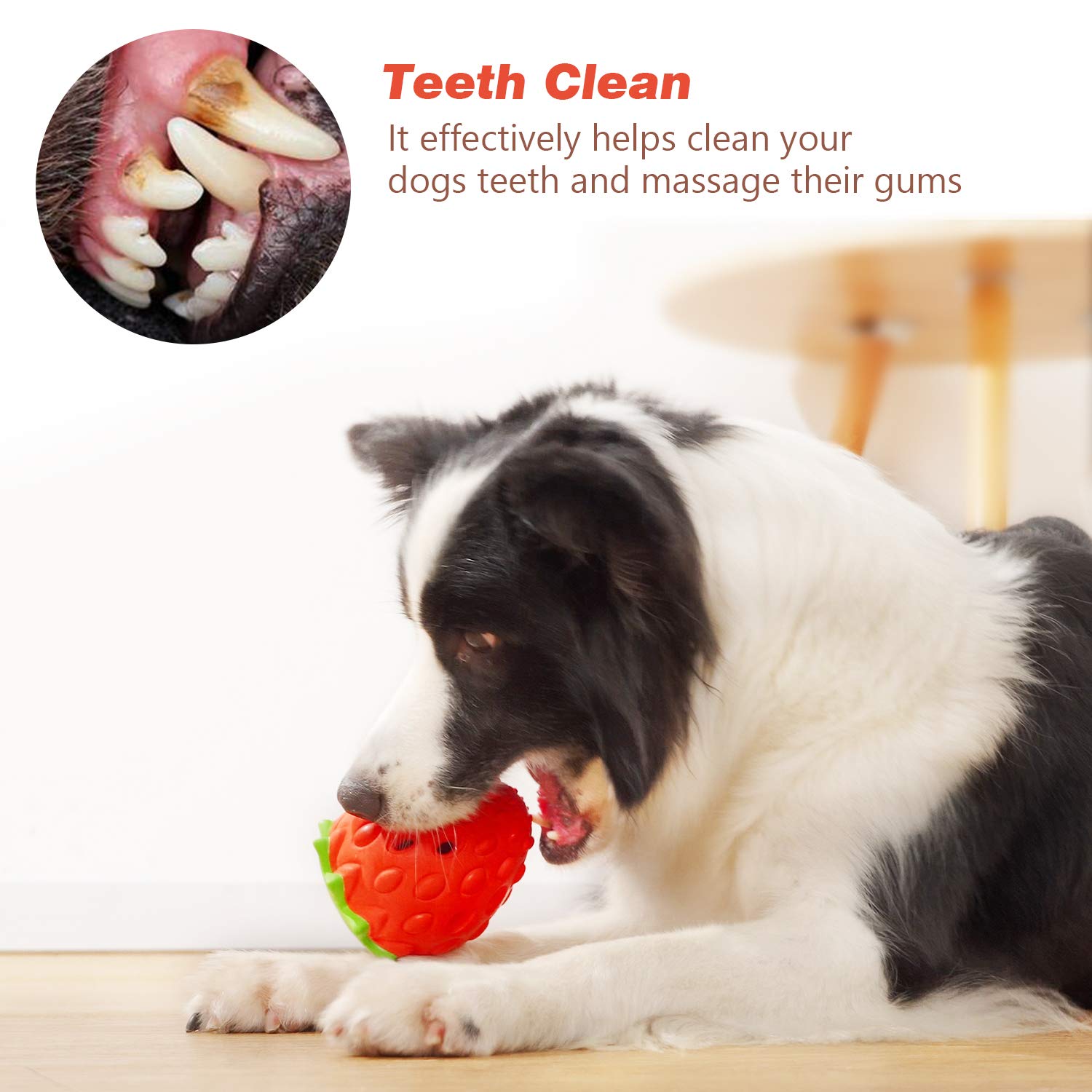 Cuidado dental con MewaJump, goma duradera para masticar y masajear encías.