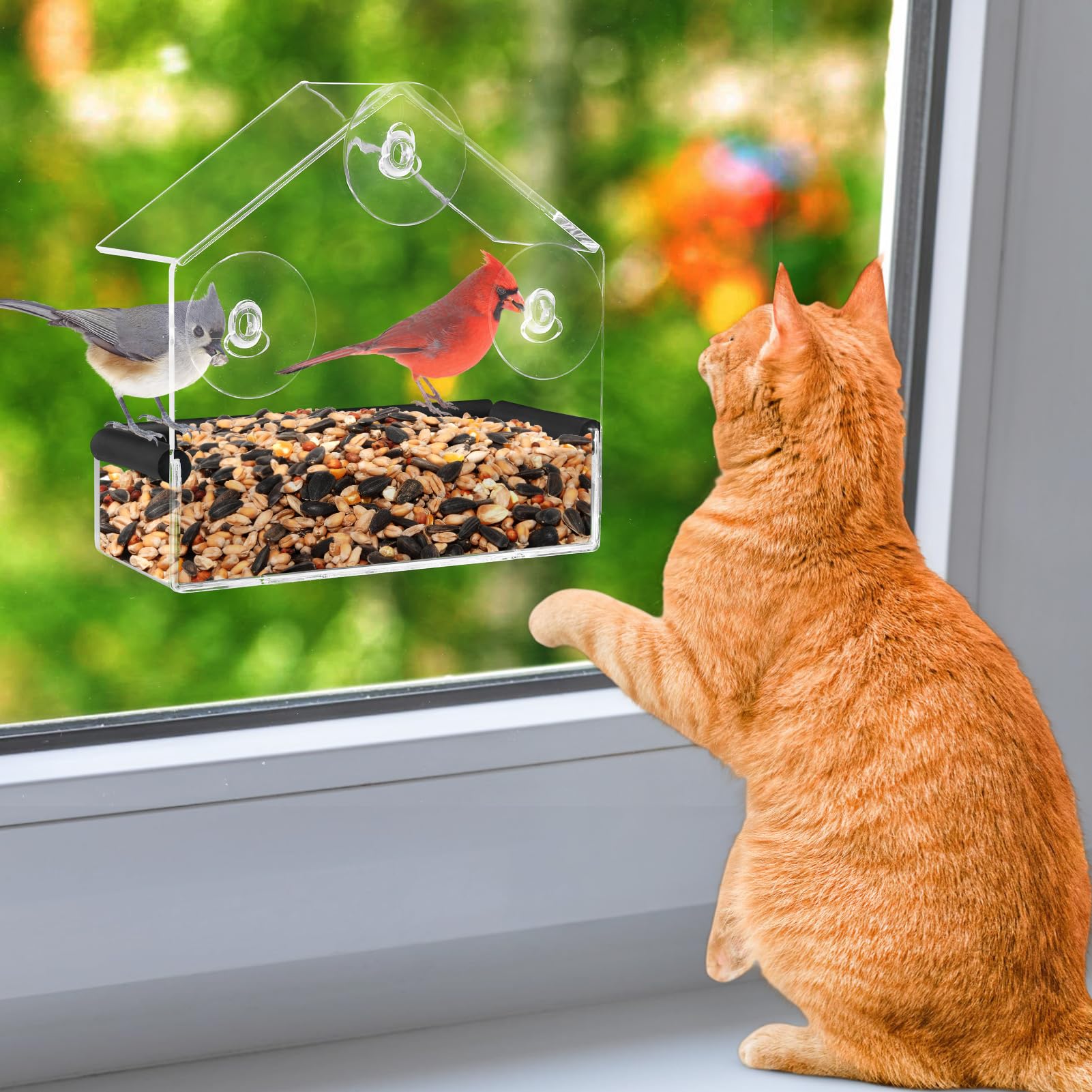 MEWTOGO alimentador de aves para ventana con cristal ofrece vista clara para gatos