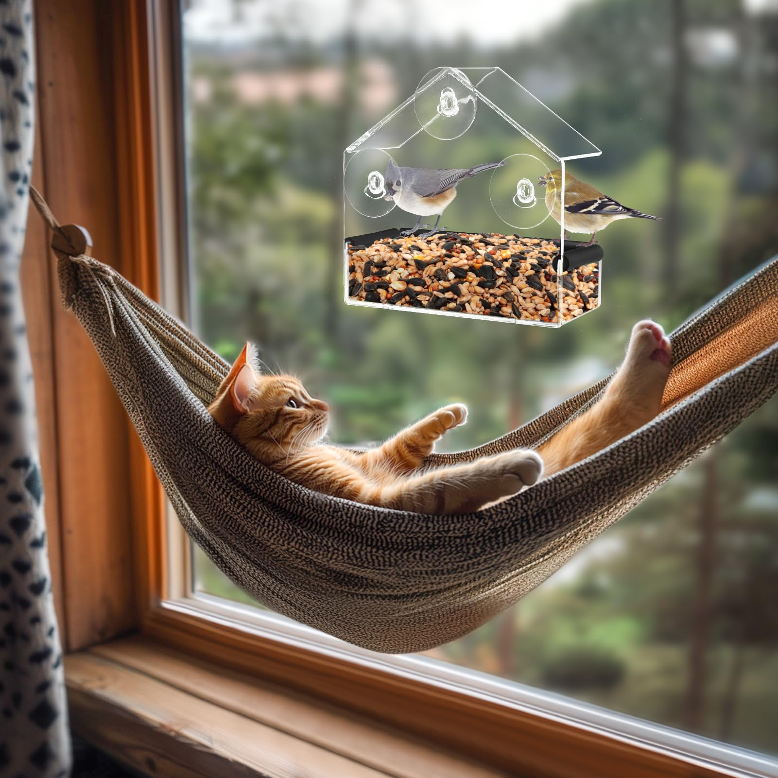 MEWTOGO regalo ideal para amantes de gatos y aves