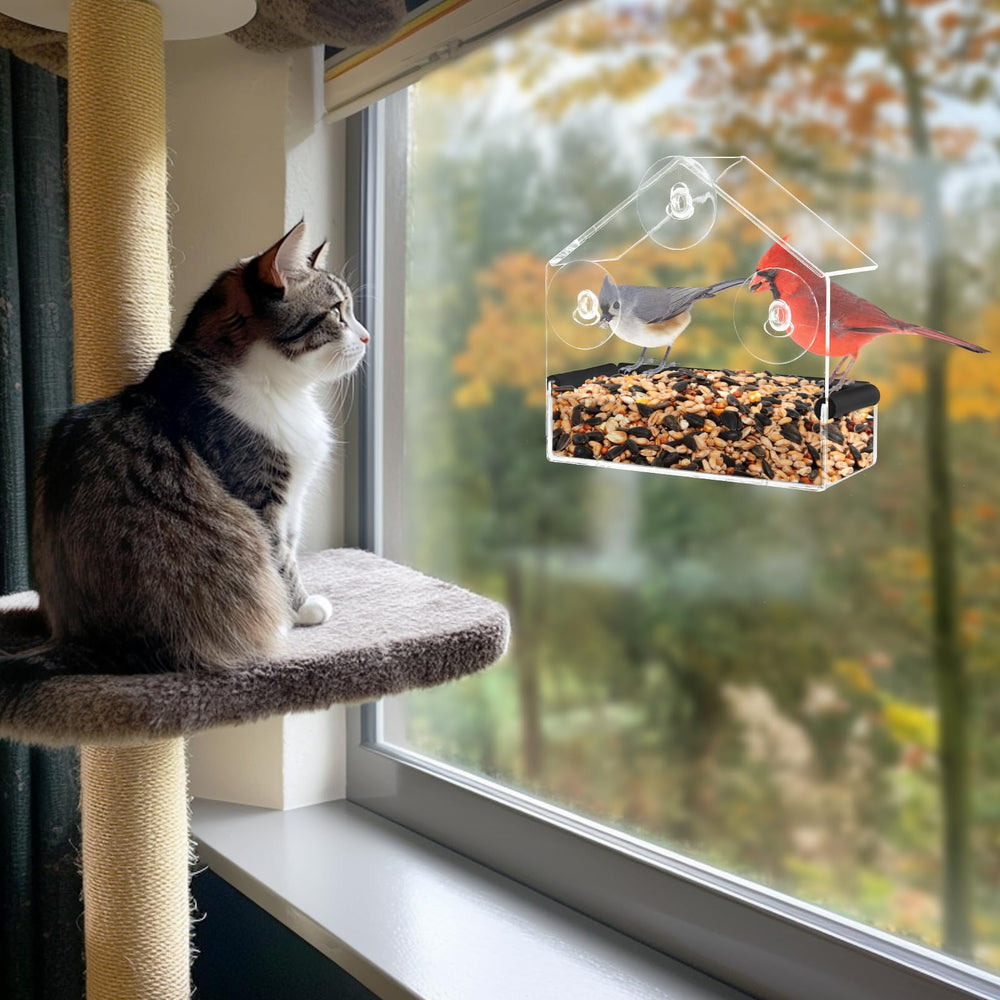 MEWTOGO experiencia de observación de aves para gatos en casa