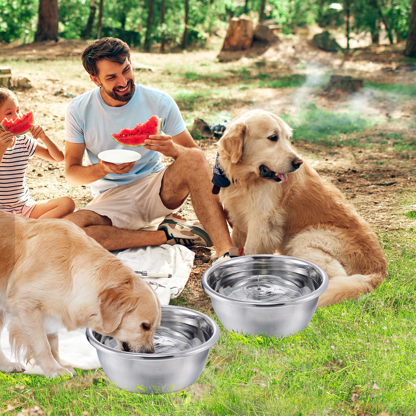 MEWTOGO recomendados para razas grandes como los labradores y pastores.