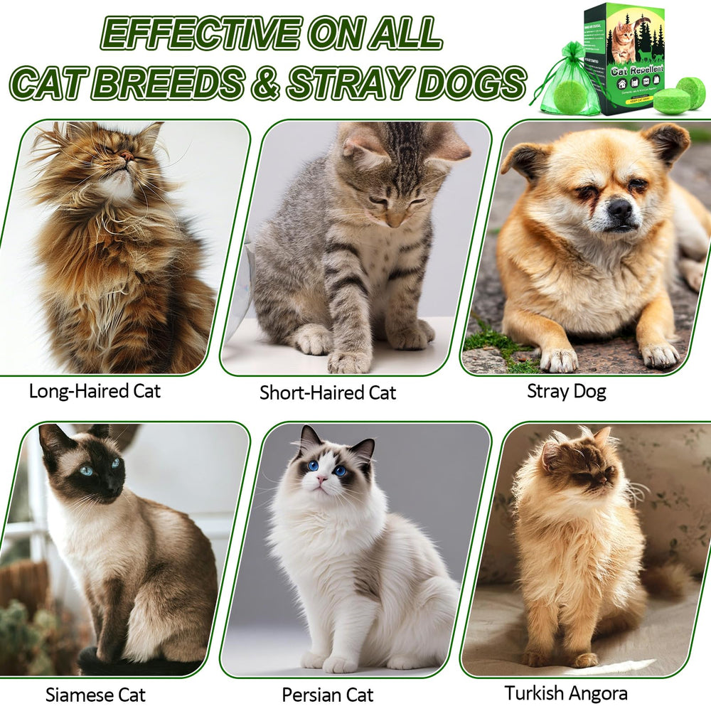 Mgkenk repelente para gatos: uso interior en cocina y garaje