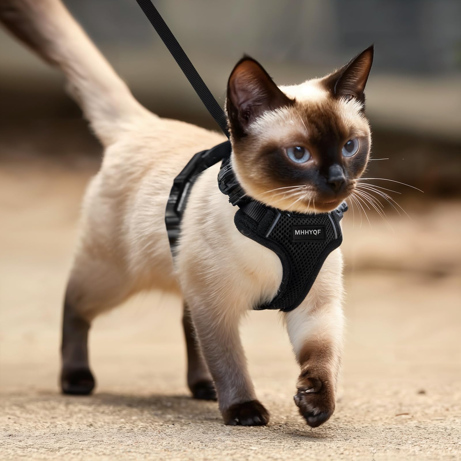 MHHHYQF arnés-gato-comodo-ligero: uso diario suave y ligero.