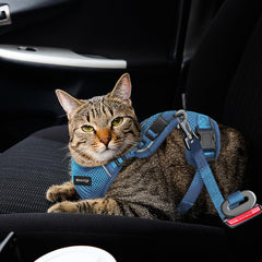 Arnés para gatos MHHYQF con bandas reflectantes para seguridad nocturna