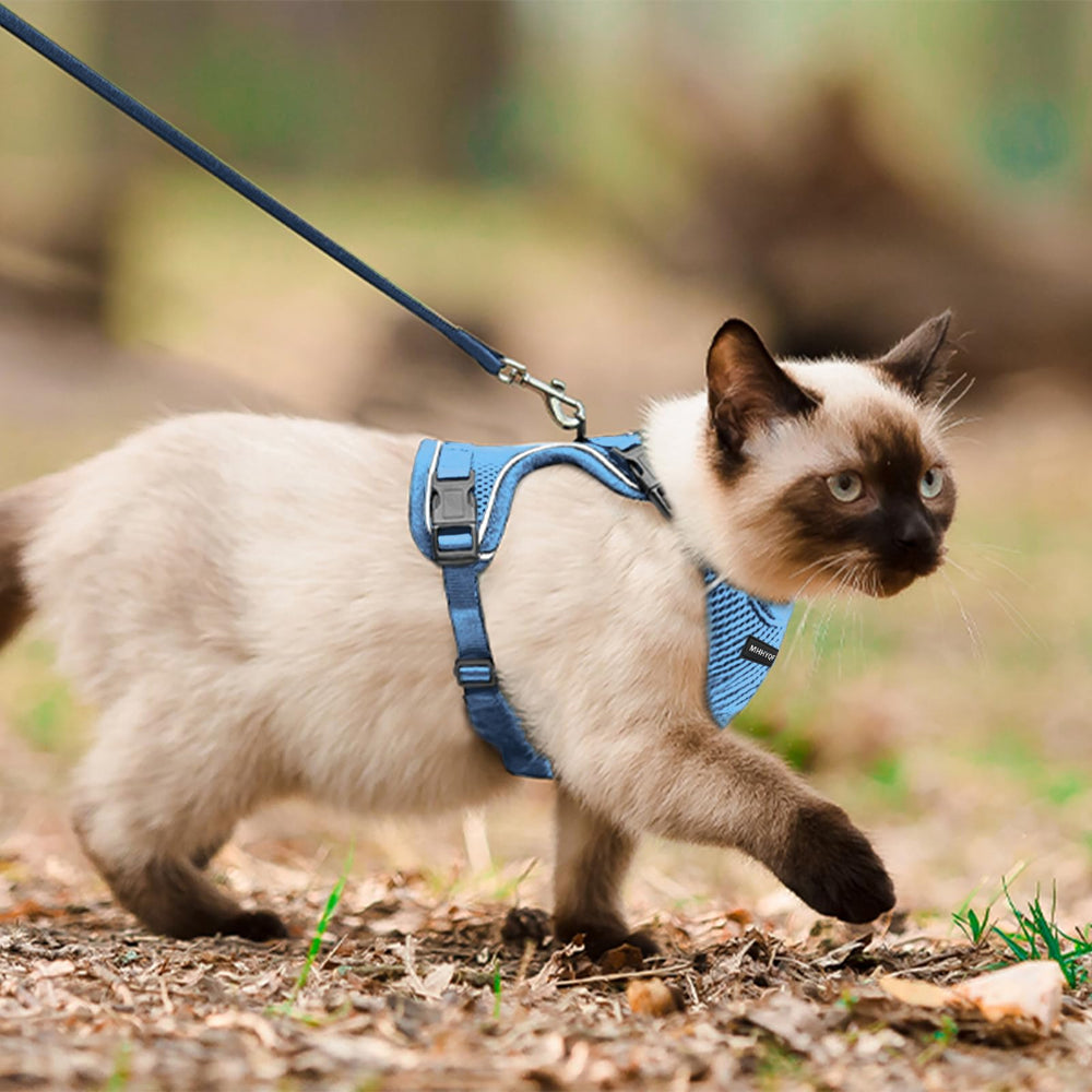 Arnés para gatos MHHYQF en coche; cómodo durante viajes