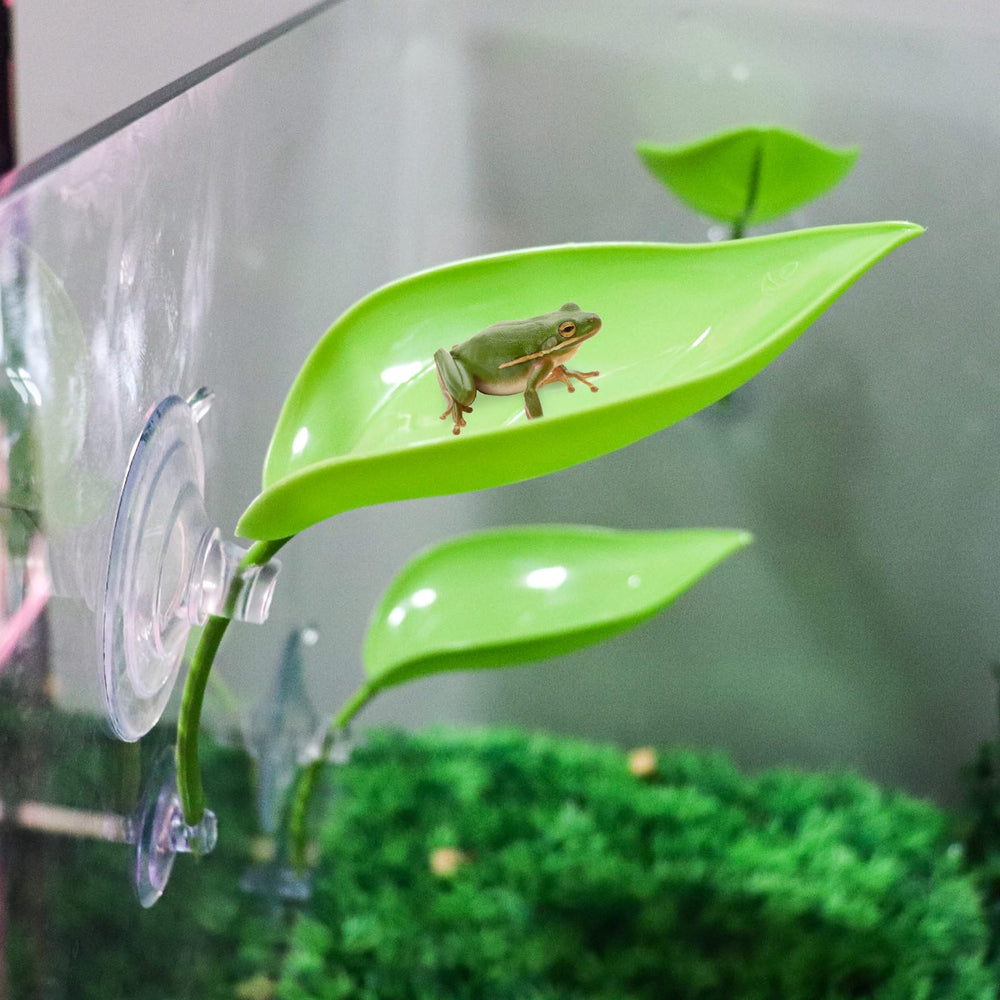 MHLLGN accesorios para terrario, ambiente natural y seguro.