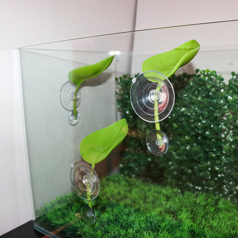 MHLLGN set de hojas para terrario, fácil limpieza.