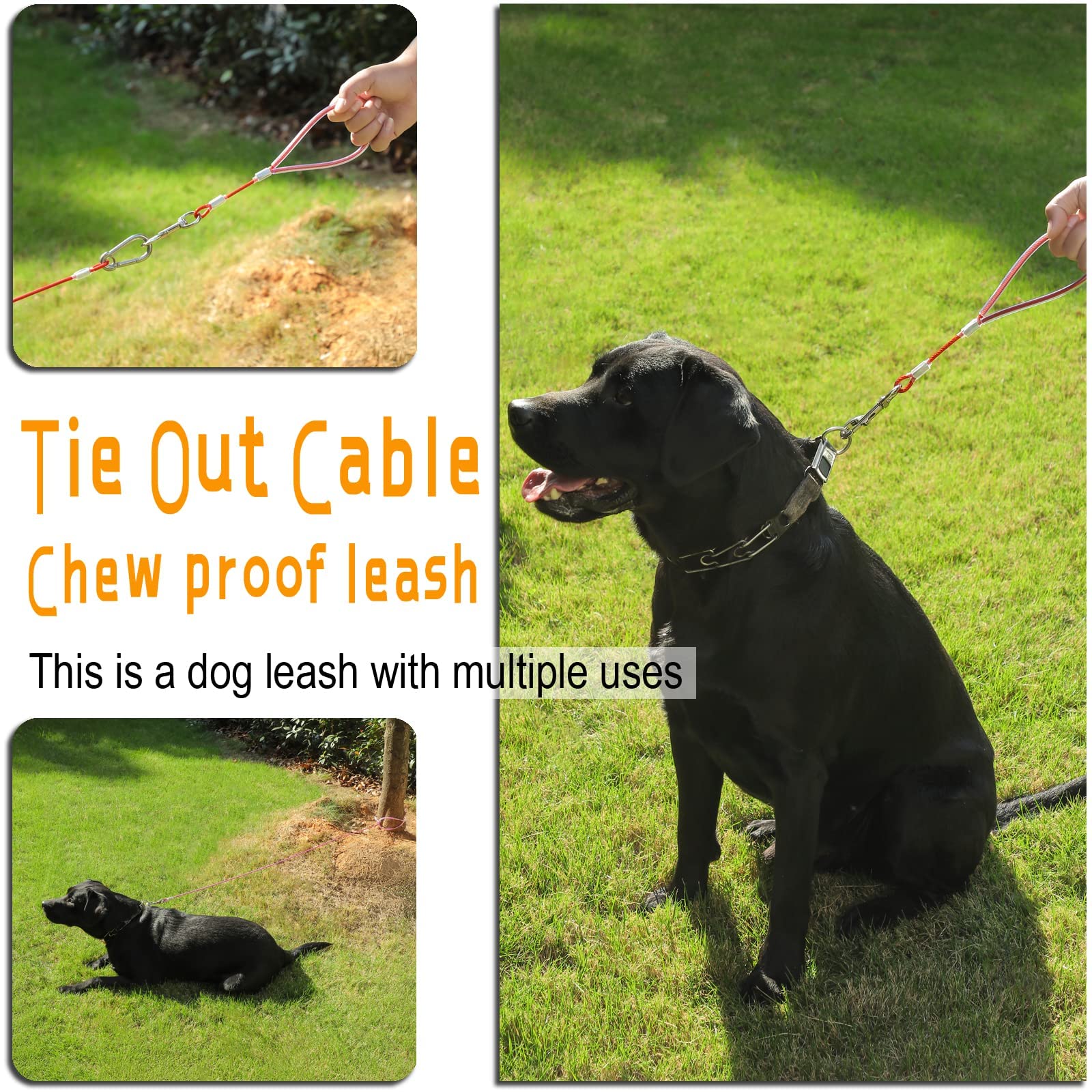 Mi Metty, cable trenzado de acero, ideal para perros activos.