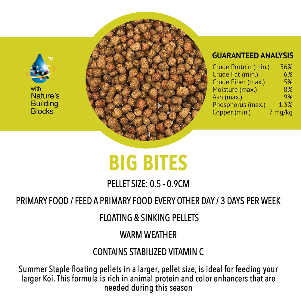 Microbe-Lift Big Bites pellets como alimento principal para peces grandes