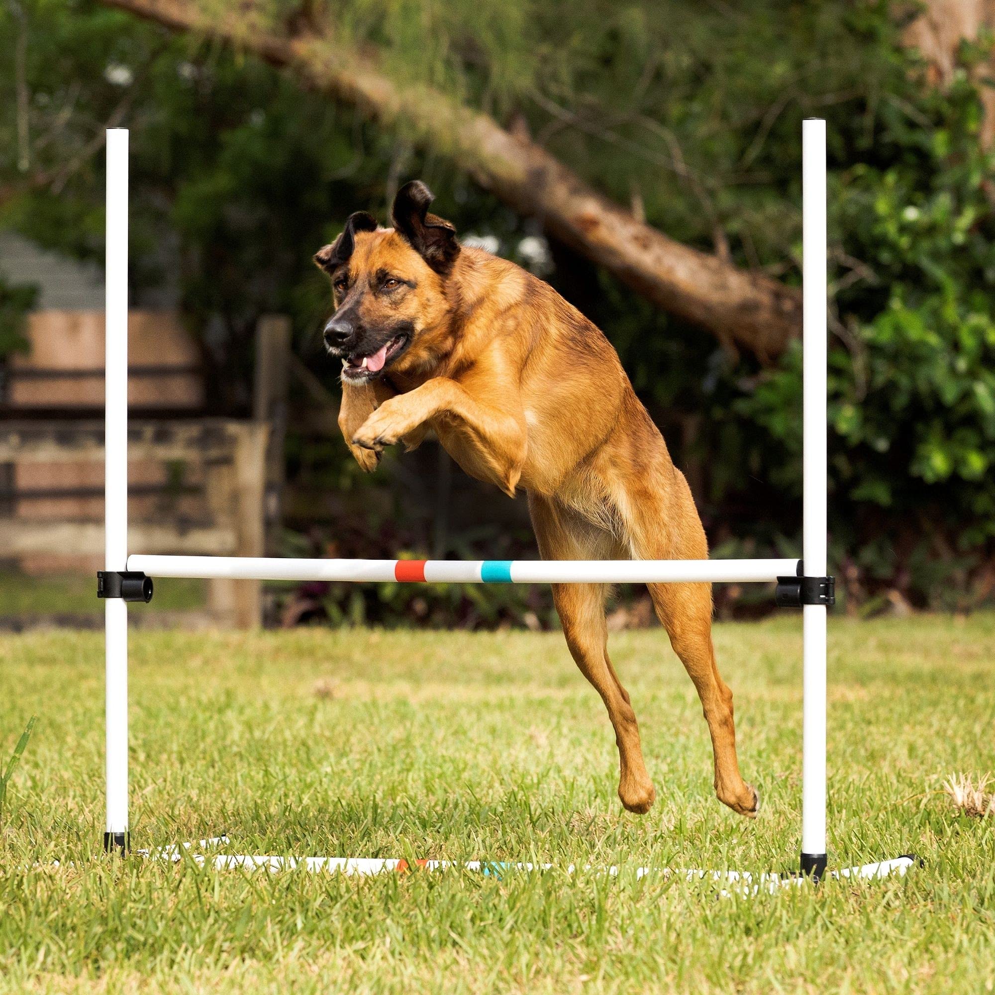 Bolsa de transporte incluida para saltos de dog agility Midlee